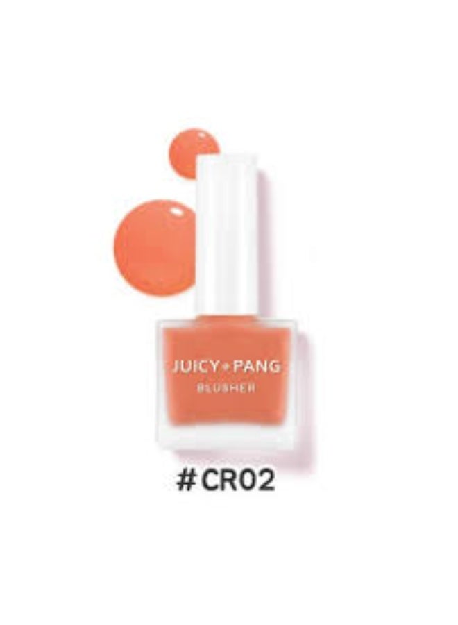 A'pieu Juicy-Pang Water Blusher CR02 9g - Image 3