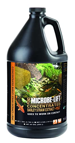 Microbe Lift Microbe-Lift Concentrated Barley Straw Extract Plus Liquid Peat Conditioner for Ponds and Outdoor Water Garden, Safe for Live Koi Fish, Plants, and Decorations, 1 Gallon - Image 3