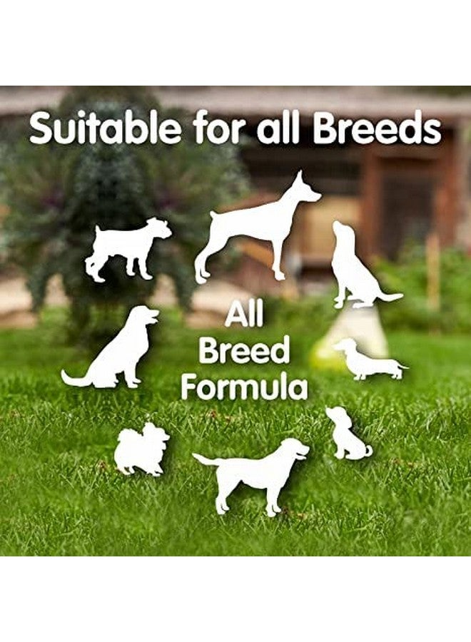 مجموعة بسكويت الكلاب 1000 جرام بسكويت الدجاج مع 1000 جرام من مزيج النكهات (عبوة 2000 جرام) - Image 3