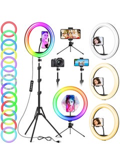 Ring Light with Stand and Phone Holder with 40 Color Modes, Floor and Desktop Stand with Circle Lights for Makeup Video Meeting Live Stream
