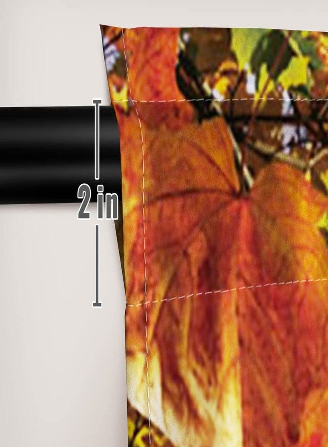 Funnytree Autumn Scenery Window Curtain Fall Landscape Field Pumpkin Print Curtains Home Decor Rod Pocket Darkening Drapes for Bedroom Living Room 82 in x 84 in - Image 5