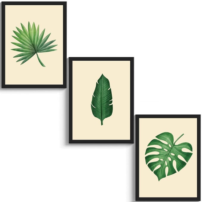 SET OF 3 REALISTIC TROPICAL LEAF FRAMED ART PRINTS PAINTING WITH PLEXI GLASS 12 X 9 INCHES WALL ART GIFT POSTERS FOR WALL DECOR WALL HANGINGS BLACK FRAME READY TO HANG