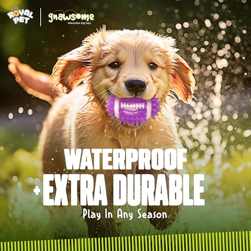 Gnawsome Dog Toys - 3.5" Spiky Squeak & Light Football - Small - Dental & Gum Wellness - Stimulating Fun - Hidden Squeaker - Durable for Heavy Chewers - 100% BPA-Free - Assorted Colors - Image 3
