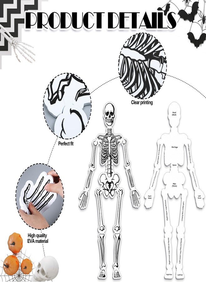 Silipull Skeleton Floor Puzzle Double Sided Human Body Puzzle 15 Pcs Human Anatomy Learning Toys Halloween Skeleton and Bones Anatomy Body Parts Model Educational Toy - Image 3