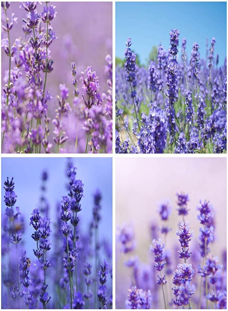 جي جوت 100 قطعة من بذور اللافندر المتنوعة للديكور الداخلي والخارجي، وهي بذور زهور شائعة لدى بائعي الزهور، وتضيف الغموض إلى حديقتك، وتجذب النحل والفراشات - Image 2