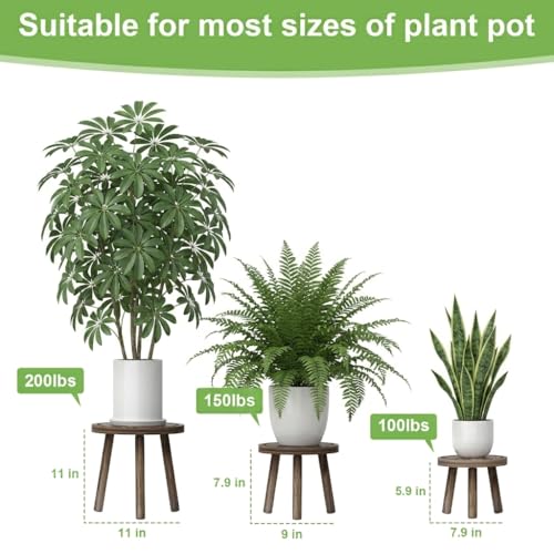 Vecxoty 3Pack Wood Plant Stands Indoor Single Plant Stand for 612 Inch Pots MidCentury Modern Plant Stool Tall Plant Stand for Large Plants Perfect Fit for Living Room Balcony Office - Image 3