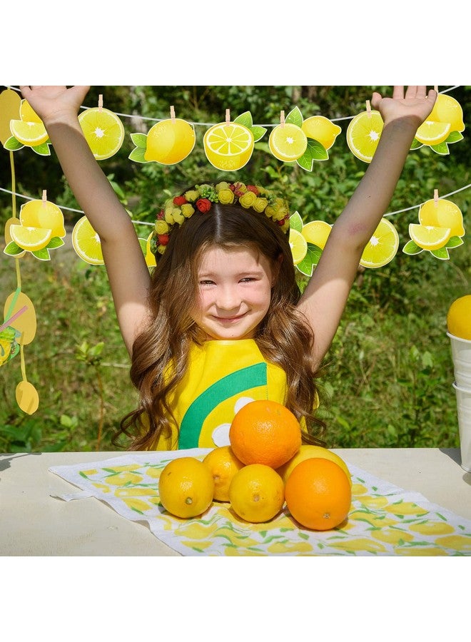 Lewtemi Lewtemi 4 Pcs Lemon Banner Citrus Lemonade Party Sign Lemon Party Decorations Yellow Lime Birthday Decorations for Boy Girl Baby Kids DIY First Bday Bridal Kitchen Shower Theme Decor  - Image 4