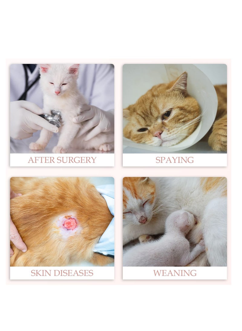 Excefore Cat Recovery Suit, 2Pcs Breathable Cat Surgery Recovery Suit Female, for Abdominal Wound Protector, Anti Licking After Surgery, Cat Spay Recovery Suit Female Abdominal Wounds - Image 5