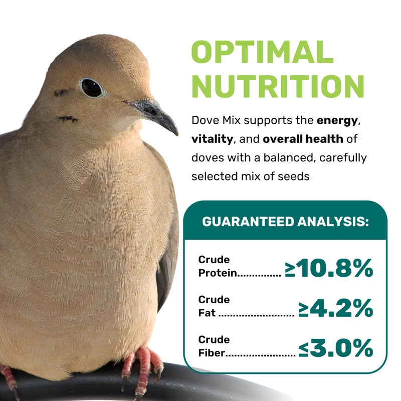 Dove Mix 5 Lbs, Dove Food, Premium Dove Bird Seed, Nut Free Mix Feed for Dove, Nutrient-Rich Mixed Birdseeds, Supports Daily Energy Growth & Healthy Balanced Diet, Bird Seed for Outside Feeders - Image 2