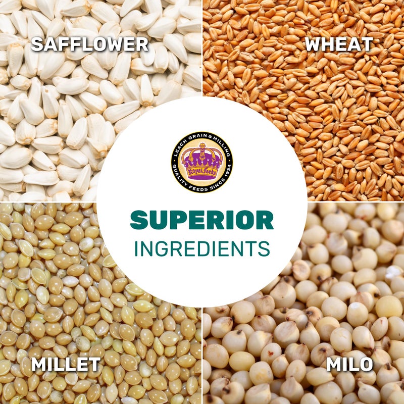 Dove Mix 5 Lbs, Dove Food, Premium Dove Bird Seed, Nut Free Mix Feed for Dove, Nutrient-Rich Mixed Birdseeds, Supports Daily Energy Growth & Healthy Balanced Diet, Bird Seed for Outside Feeders - Image 4