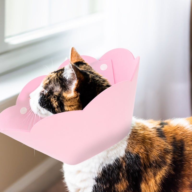 🐾 طوق تعافي للحيوانات الأليفة لتقليل الانزعاج بعد الجراحة خفيف وآمن - Image 5