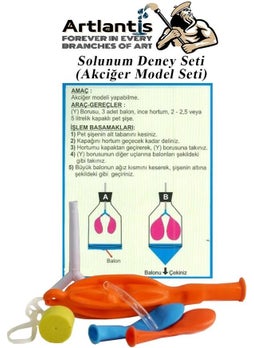 Artlantis Respiratory Experiment Set 7 Pieces 1 Pack Model Set Y Pipe Stopper Balloon School Classroom Experiment Set  - Image 1