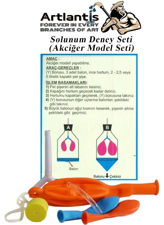 Artlantis - Respiratory Experiment Set 7 Pieces 1 Pack Model Set Y Pipe Stopper Balloon School Classroom Experiment Set - Image 1