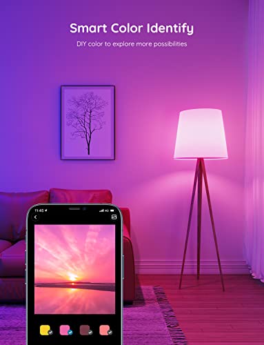 Govee Smart Light Bulbs, Color Changing Light Bulb, Work with Alexa and Google Assistant, 16 Million Colors RGBWW, WiFi & Bluetooth LED Light Bulbs, Music Sync, A19, 800 Lumens, 4 Pack - Image 2