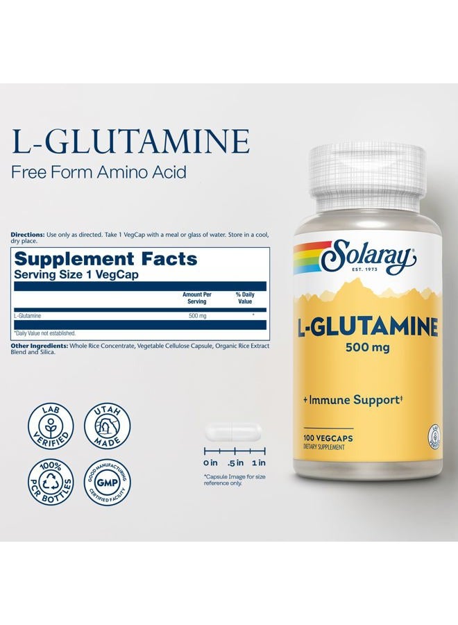 SOLARAY Solaray L Glutamine Capsules 500 mg - Immune Support Supplement - Free Amino Acid - Lab Verified, 60-Day Money-Back Guarantee - 100 Servings, 100 VegCaps - Image 2