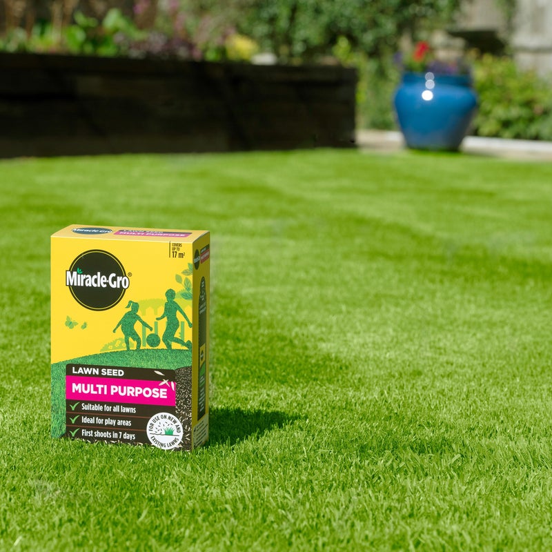 Miracle-Gro Multi Purpose Lawn Seed, Child & Pet Friendly, Coverage 17m2, 500g Box - Image 4