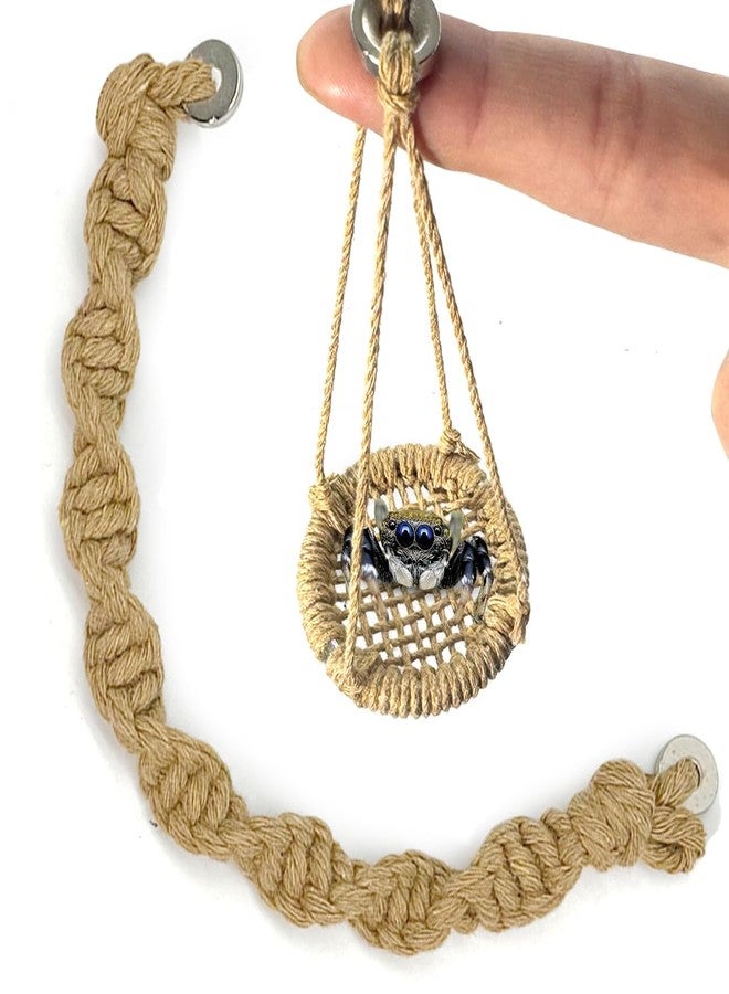 Julang 2 Pack Jumping Spider Rope Bridge Swings, Natural Cotton Rope Handmade Magnetic Mounting Jumping Spider Accessories (Brown) - Image 1