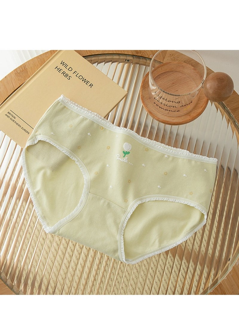 مجموعة من 5 ملابس داخلية قطنية أنيقة بخصر متوسط، ملابس داخلية مريحة وجيدة التهوية للفتيات - Image 4