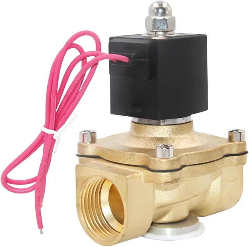 DN25 Brass Solenoid Valve IP65 Waterproof Normally Closed Brass Solenoid Valve 24V 12V 220V 110V(BSPT_230VAC_EPDM-SEAL)