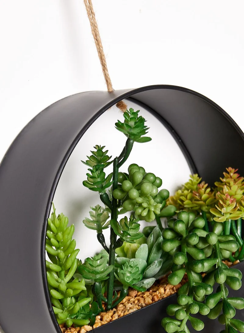 Noire Edit 20 Cm Succulents In Round Metal Hanging Pot