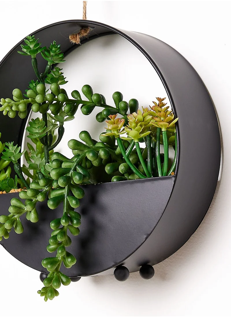 Noire Edit 20 Cm Succulents In Round Metal Hanging Pot