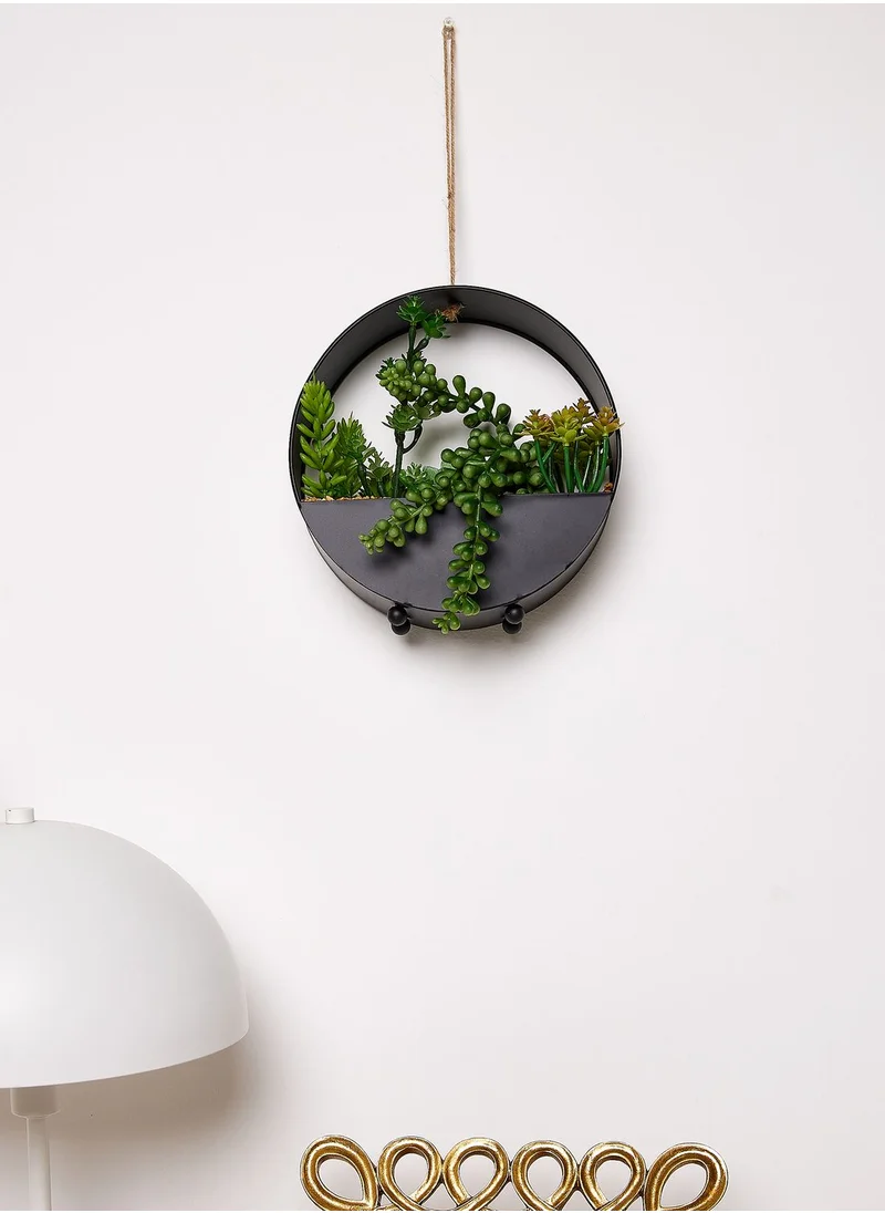 Noire Edit 20 Cm Succulents In Round Metal Hanging Pot