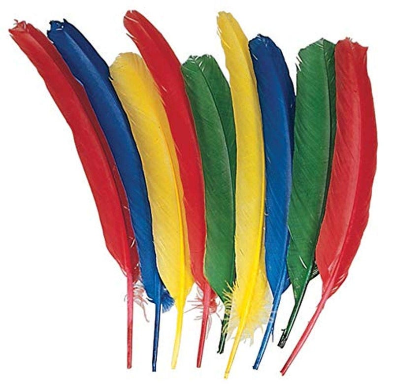 Creativity Street Quill Feathers 4 Assorted Colors 12in 24 Pack AC4503 multicolor