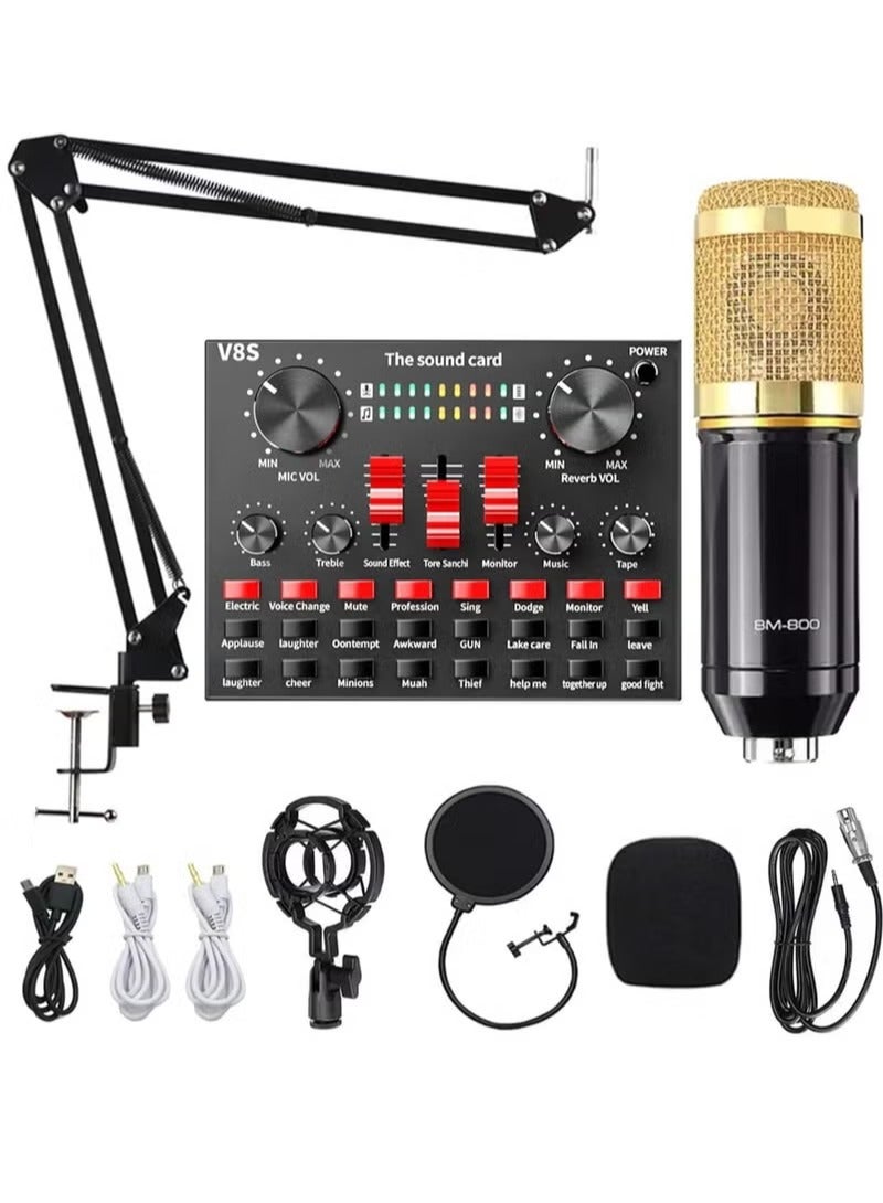 Arabest Podcast Condenser Microphone Bundle with v8s Sound Card/Condenser Studio Microphone for - Image 1