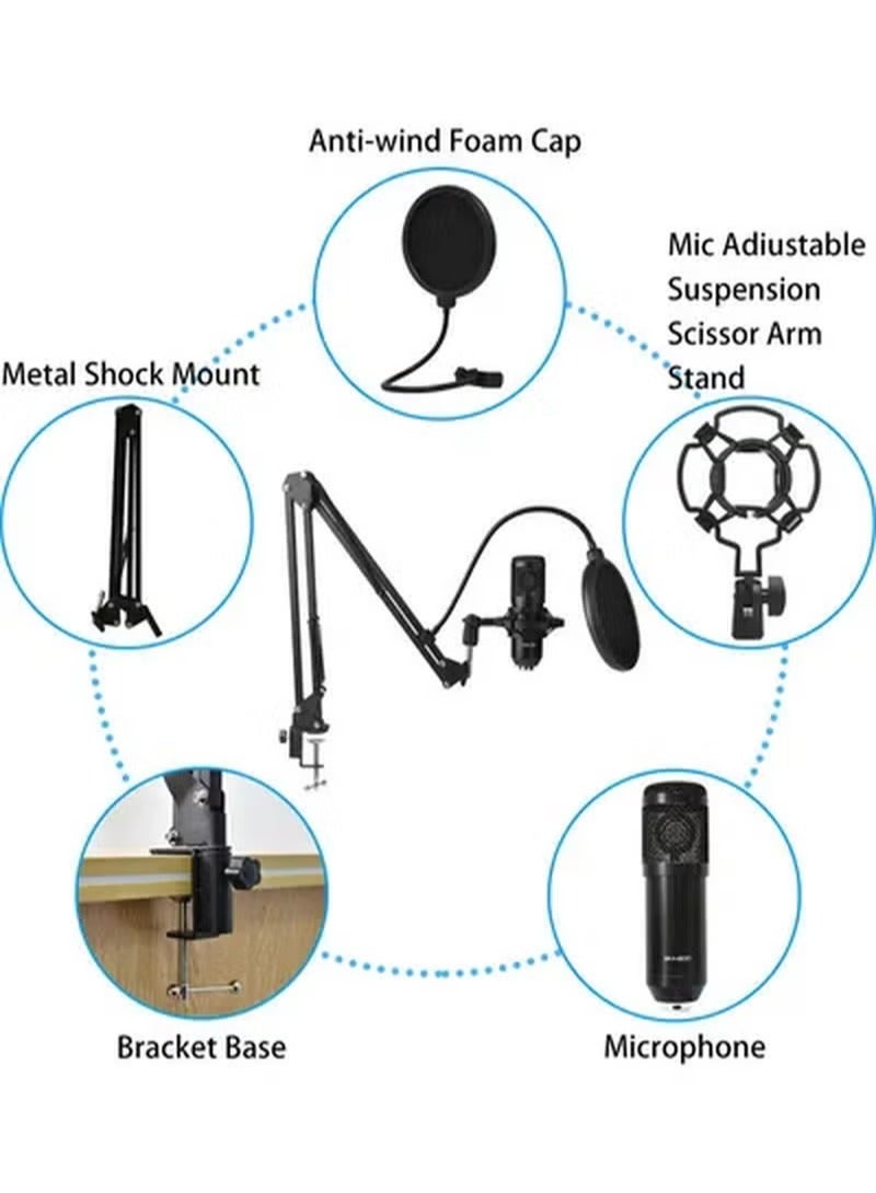 Arabest Podcast Condenser Microphone Bundle with v8s Sound Card/Condenser Studio Microphone for - Image 3