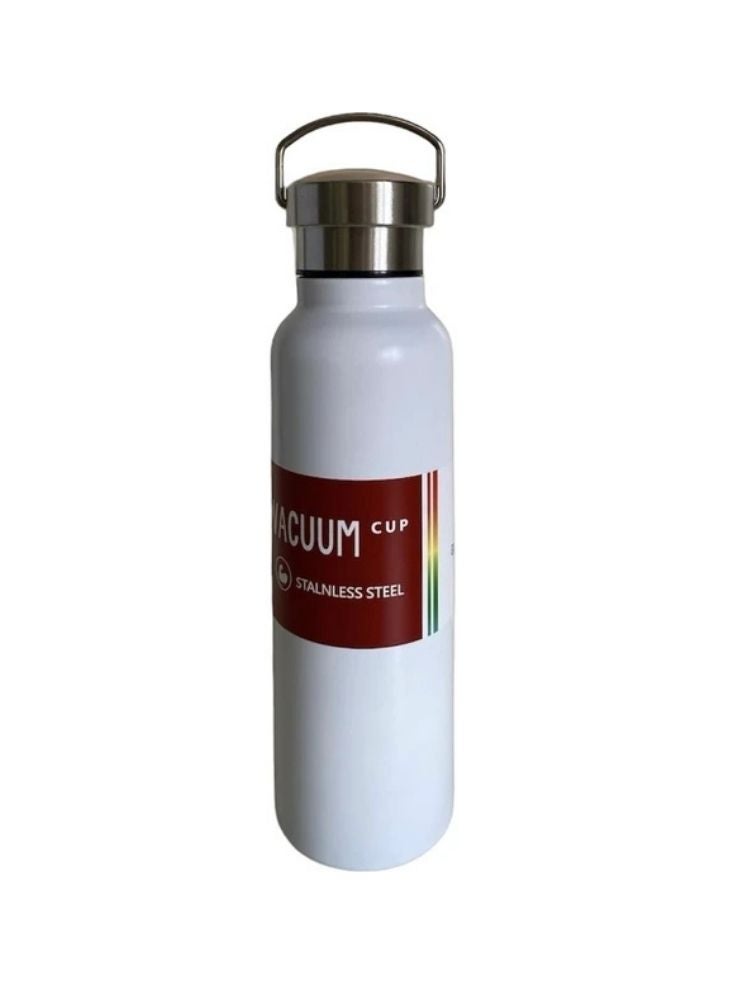 Stainless Steel Vacuum Bottle – Double Wall Insulated Water Flask with Handle Lid