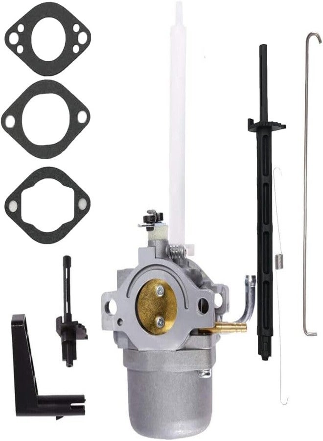 LIZAPUS Carburetor Carb Compatible with Ariens Snow Blower Model# 921013 921016 w/Briggs & Stratton Replacement Part - Image 1