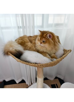 WISFOR Solid Wood Cat Tree Tower for Indoor Cats, Multi-Level Wooden Cat Furniture with Sisal Scratching Posts, Plush Perches, Cozy Hideaway, and Easy Assembly  - Image 2