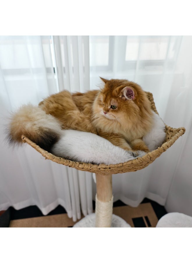 WISFOR - Solid Wood Cat Tree Tower for Indoor Cats, Multi-Level Wooden Cat Furniture with Sisal Scratching Posts, Plush Perches, Cozy Hideaway, and Easy Assembly - Image 1