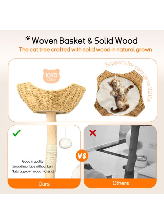 WISFOR - Solid Wood Cat Tree Tower for Indoor Cats, Multi-Level Wooden Cat Furniture with Sisal Scratching Posts, Plush Perches, Cozy Hideaway, and Easy Assembly - Image 1