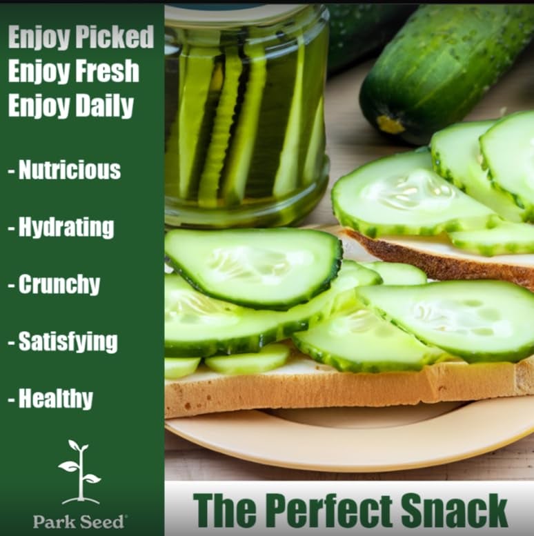 Park Seed Variety of Cucumber Seeds, Planting Cucumbers, Vegetable Seeds, Easy to Grow, Non-GMO, Perfect for Harvesting, Mini-Me F1 Organic, Pack of 10 - Image 3