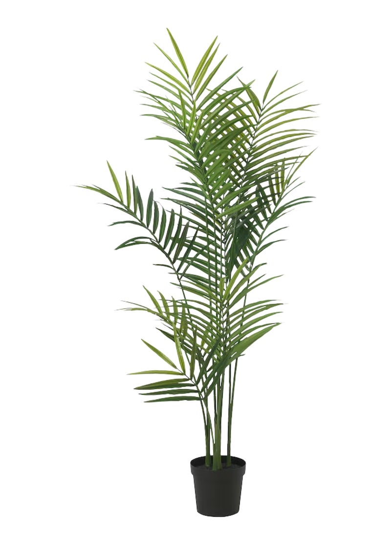 MEKITON MEKITON Artificial Areca Palm Tree – 160cm Tall Faux Indoor Plant with Pot | Realistic Green Decorative Palm for Home, Office & Majlis | No Watering or Sunlight Required.  - Image 1