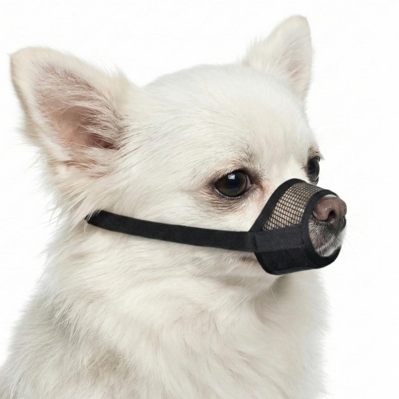 Evollax Muzzle for Small Dog - Soft Air Mesh XS Dog Muzzle for Small Dogs | Perfect for Barking and Biting Prevention | Puppy Mussels for Grooming Allows Panting & Drinking - Image 1