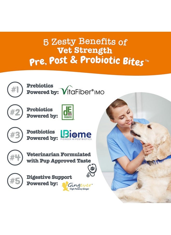 Zesty Paws Probiotics For Dogs  Digestive Enzymes For Gut Flora, Digestive Health, Diarrhea & Bowel Support  Clinically Studied De111  Dog Supplement Soft Chew For Pet Immune System  Vs, 90 Count  - Image 3
