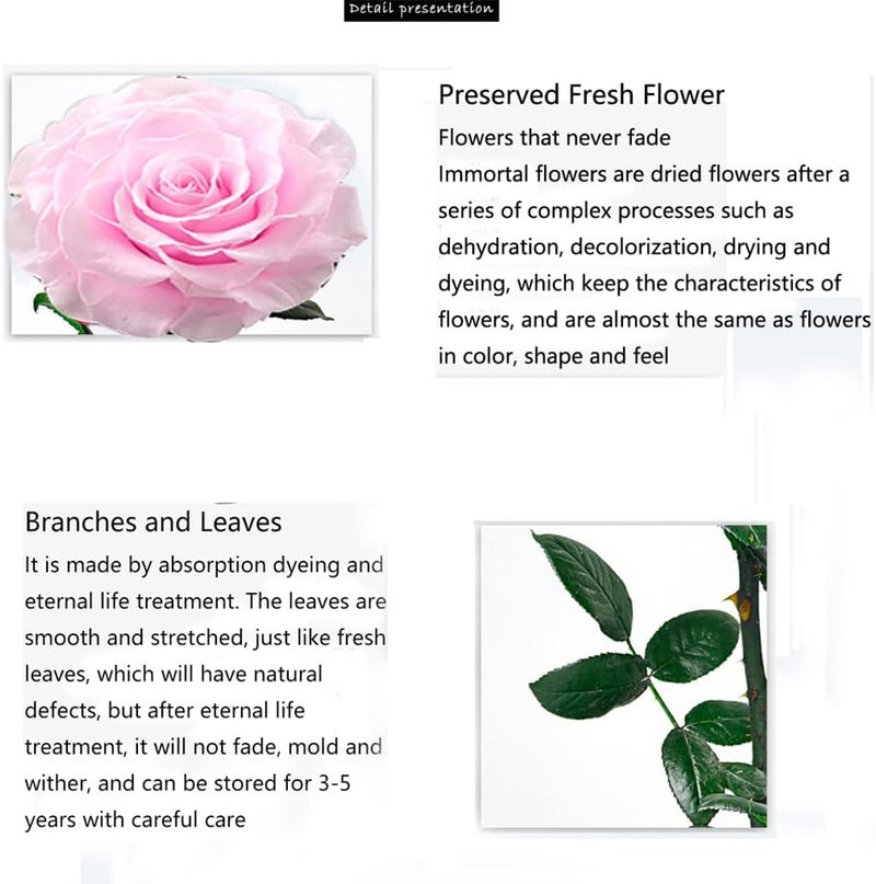 Moonmen Large-size Forever Rose, Real Eternal Rose in Glass Dome Preserved Flower with Luxury Gift Box - Gift for Valentine's Day Mother's Day Wedding Anniversary Birthday (Pink) - Image 2