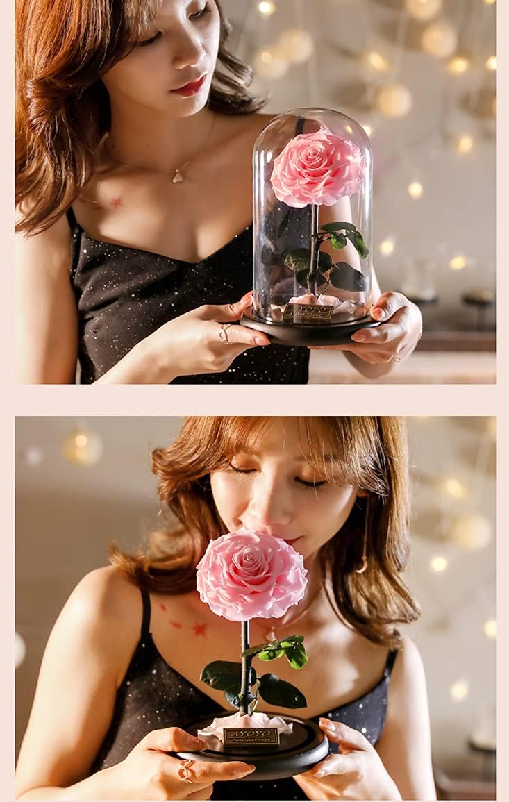 Moonmen Large-size Forever Rose, Real Eternal Rose in Glass Dome Preserved Flower with Luxury Gift Box - Gift for Valentine's Day Mother's Day Wedding Anniversary Birthday (Pink) - Image 5