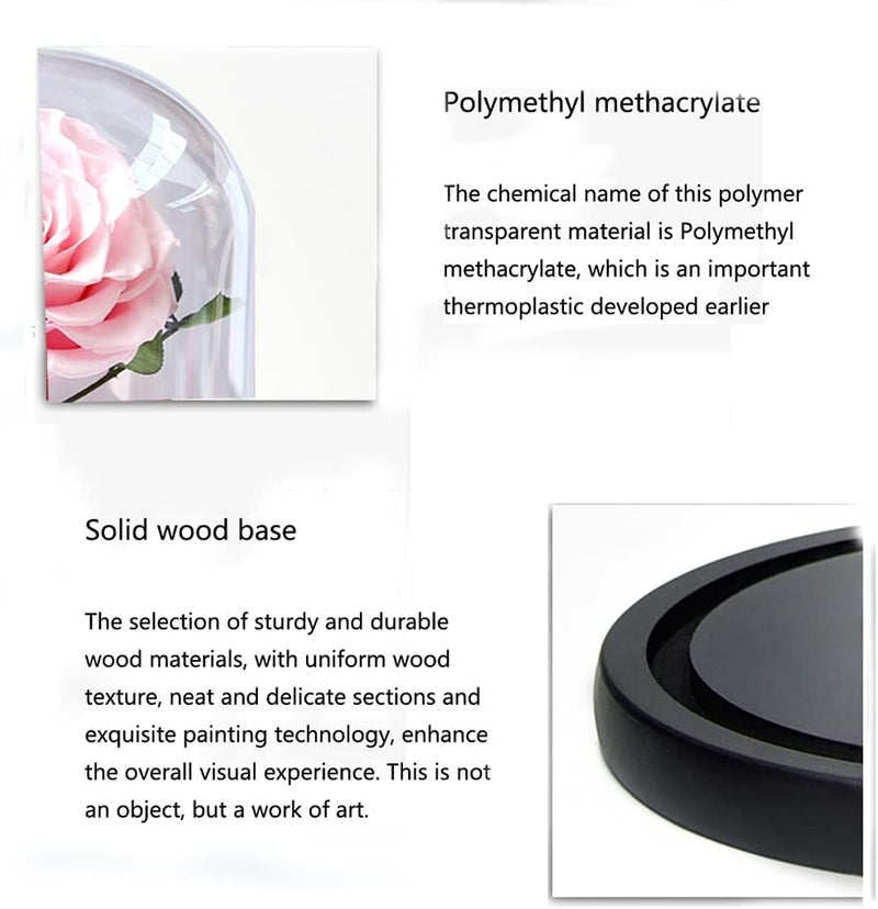 Moonmen Large-size Forever Rose, Real Eternal Rose in Glass Dome Preserved Flower with Luxury Gift Box - Gift for Valentine's Day Mother's Day Wedding Anniversary Birthday (Pink) - Image 3