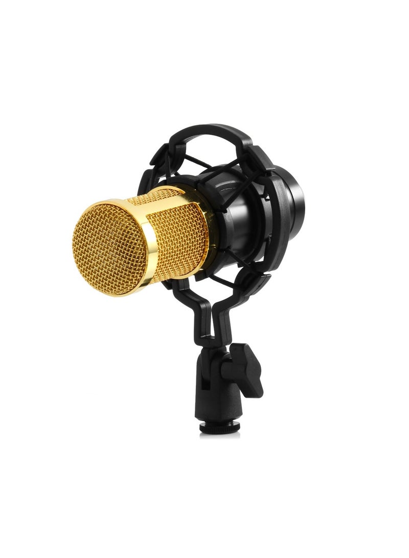 BM 800 Condenser Microphone for PodcastStudio Recording Condenser Microphone Set with Shock Mount XLR Cable Windscreen for Mic for Vloging Gaming Youtube BM800 - Image 1