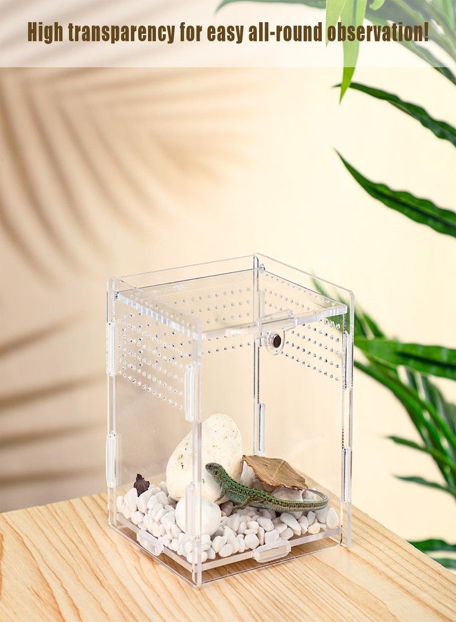 Suzile حوض عنكبوت سوزيل القافز وعنكبوت الرتيلاء - حوض الزواحف وسرطان البحر الناسك - موطن صغير (3.5 × 3.5 × 3.7 بوصة) - Image 5