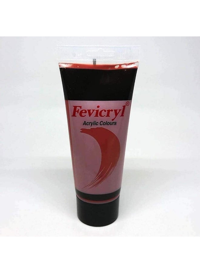 Fevicryl Fevicryl Acrylic Paint Burnt Sienna (200ml, AC01) - Image 1