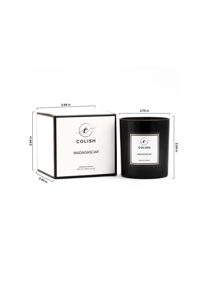 Madagascar Scented candle 230gm - pzsku/ZE38585A514BAE8F0D5CDZ/45/_/1692600073/700e873f-f9cd-49bd-8645-5078fd973fa9