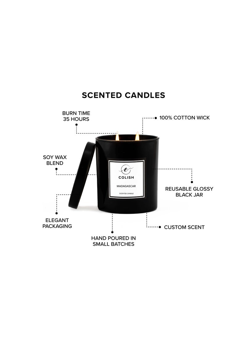 Madagascar Scented candle 230gm - pzsku/ZE38585A514BAE8F0D5CDZ/45/_/1692600074/0386a70a-23a6-4503-b85d-a63e3ec22c0e