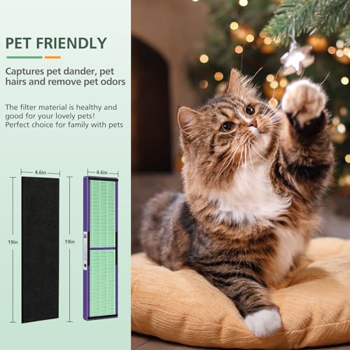 isinlive 2 Pack FLT5000 HEPA Filter C Replacement with Pet Pure Treatment, and 8 Pack Activated Carbon Pre-Filters for Ger Guardian Air Purifier FLT5111 AC5000 AC5000E AC5250PT AC5350B AC5350BCA - Image 3