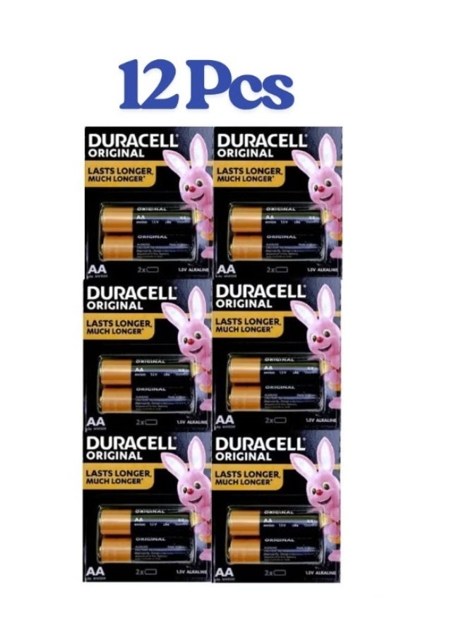 12 Pcs Duracell Original Power Type (AA) Alkaline Battery 12Pcs