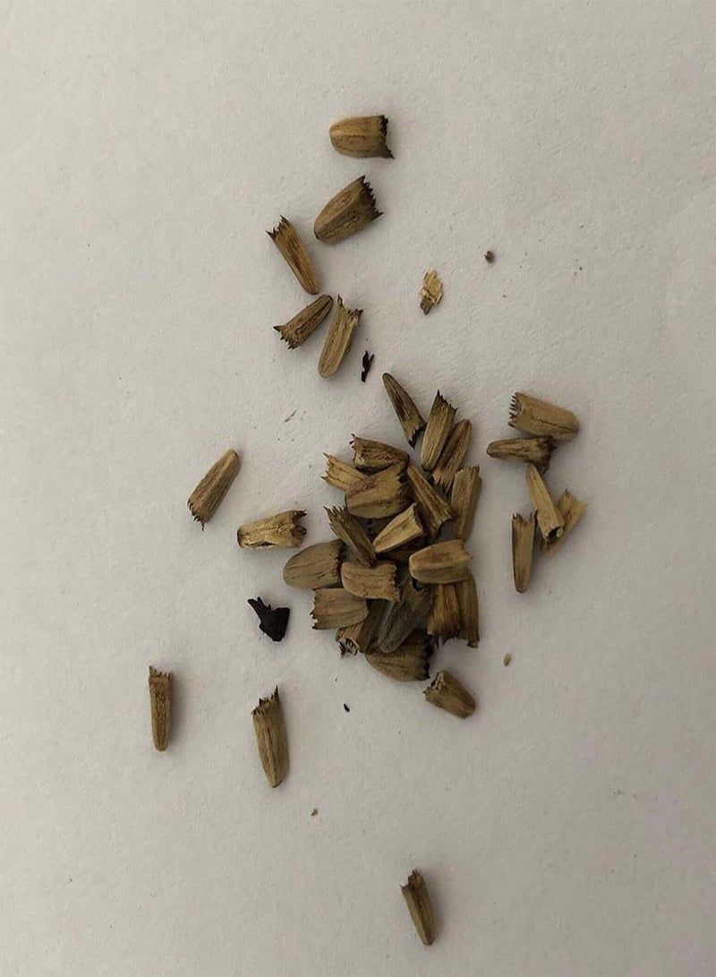 GGOOT Seed for Planting,20Pcs Adenium Obesum Desert Rose Seeds Flower Plant Bonsai Office Garden Decor-5#-Desert Rose Seeds - Image 5