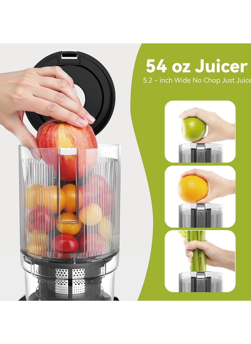 Dxmocos - DXMOCOS Slow Juicer, Cold Press Masticating Juicer for Fruits & Vegetables, High Juice Yield, Quiet Motor, Easy to Clean, with Pulp Separation & Juice Cup, Ideal for Healthy Homemade Drinks - Image 1